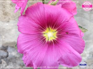 MadeinMycountry-MadeinMycountryGR-MadeinMycountyry-EU-Greece-Cyprus-Hellas-Madein-Greece-and-Cyprus-EU-Europe